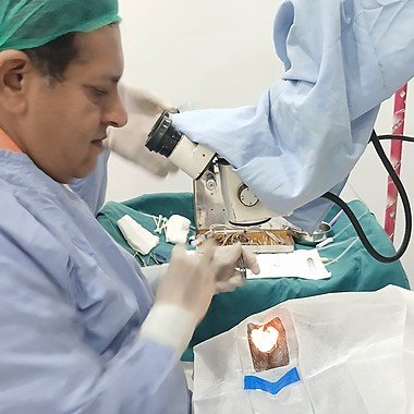 A volunteer guiding an elderly patient