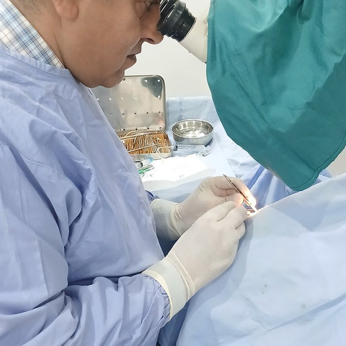 Surgical day, partner hospital